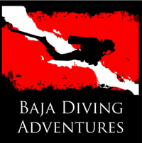 Baja Diving Adventures